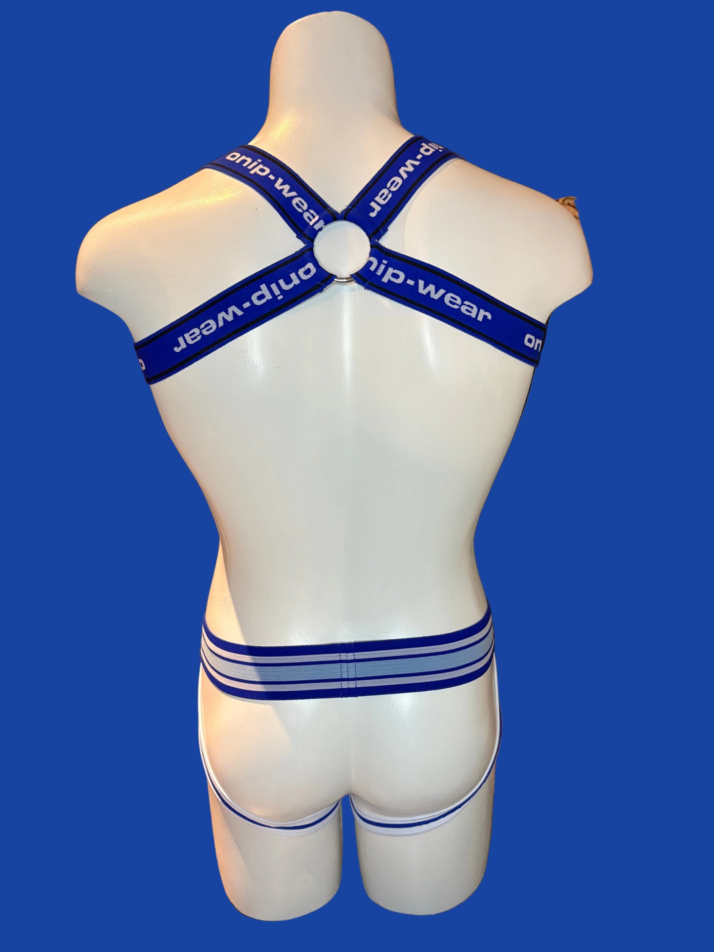 Blue Harness - Chest Harness Onip-Wear