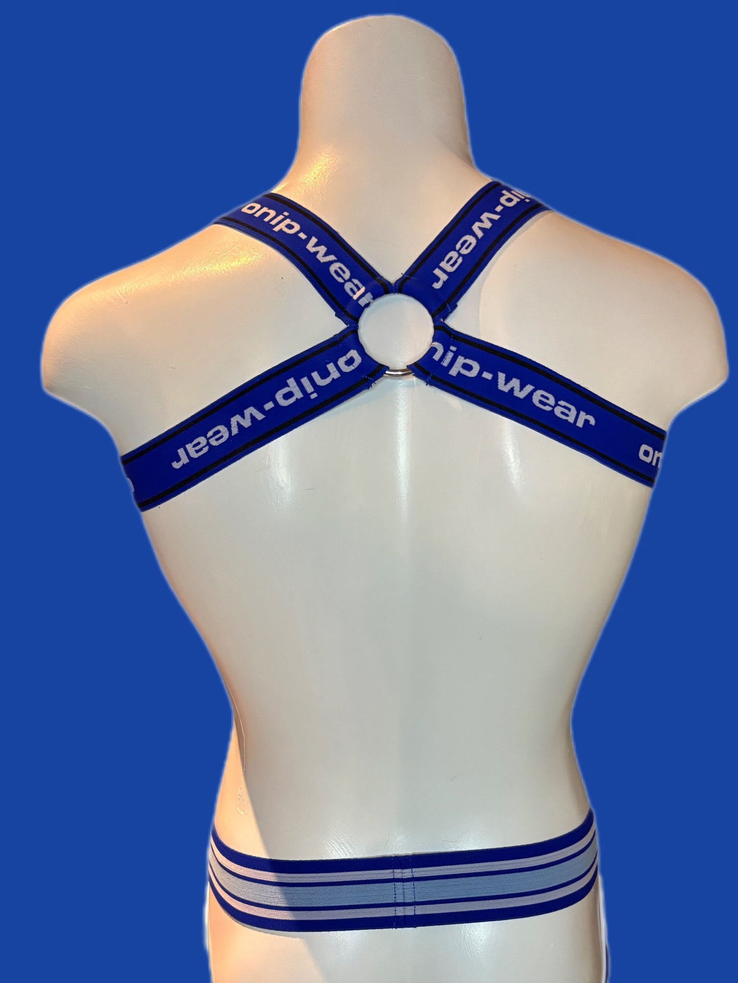 Blue Harness - Chest Harness Onip-Wear